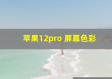 苹果12pro 屏幕色彩